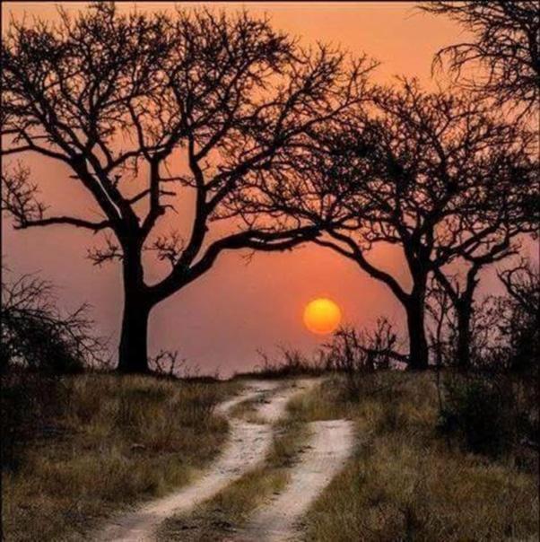 Weltevreden Game Lodge Bloemfontein Esterno foto