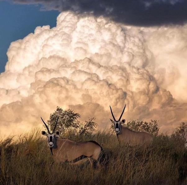 Weltevreden Game Lodge Bloemfontein Esterno foto