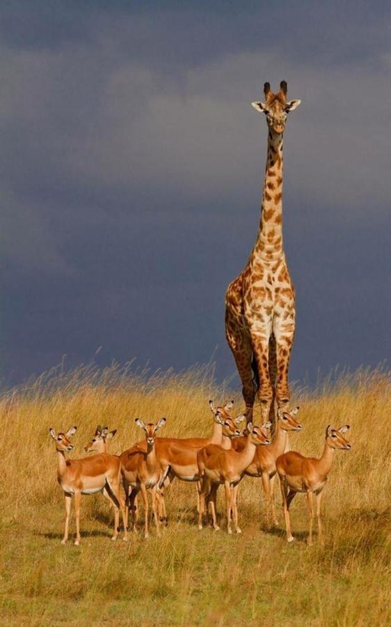 Weltevreden Game Lodge Bloemfontein Esterno foto