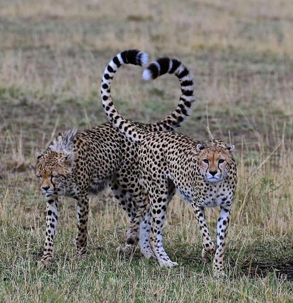 Weltevreden Game Lodge Bloemfontein Esterno foto